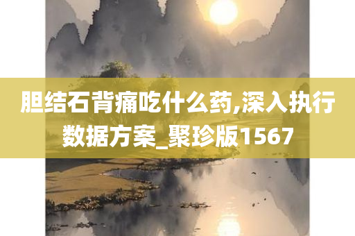 胆结石背痛吃什么药,深入执行数据方案_聚珍版1567