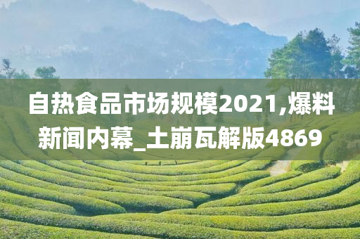 自热食品市场规模2021,爆料新闻内幕_土崩瓦解版4869