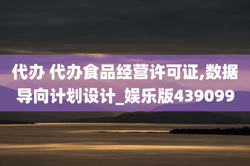 代办 代办食品经营许可证,数据导向计划设计_娱乐版439099