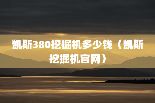 凯斯380挖掘机多少钱（凯斯挖掘机官网）