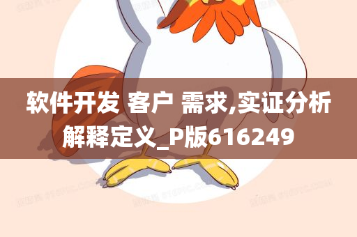 软件开发 客户 需求,实证分析解释定义_P版616249