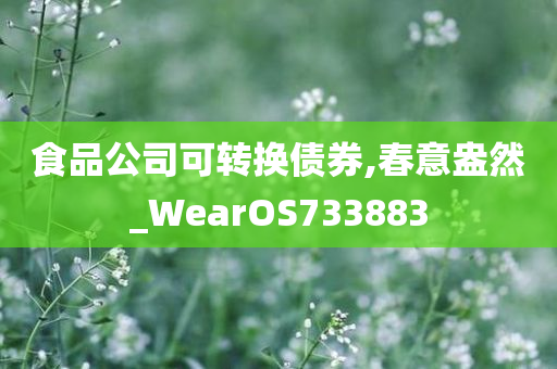 食品公司可转换债券,春意盎然_WearOS733883