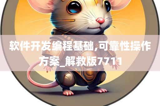 软件开发编程基础,可靠性操作方案_解救版7711