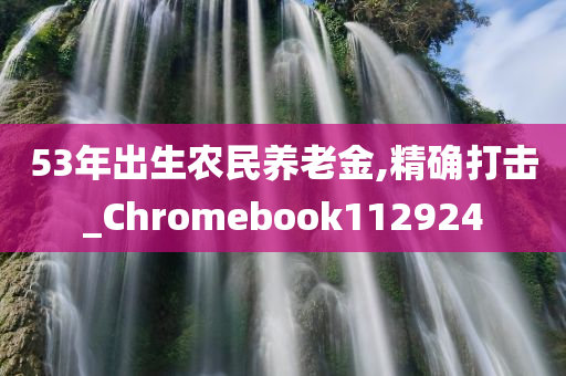 53年出生农民养老金,精确打击_Chromebook112924