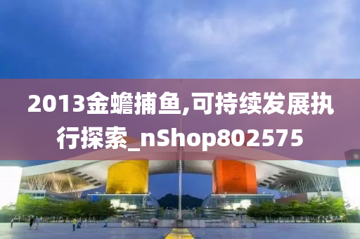 2013金蟾捕鱼,可持续发展执行探索_nShop802575