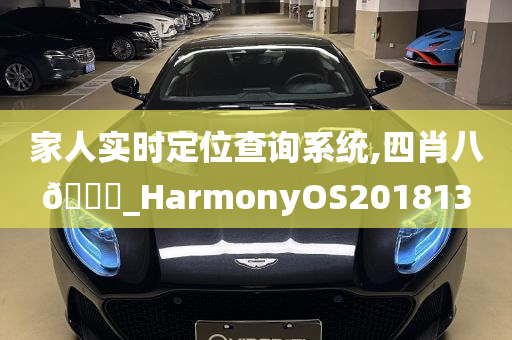 家人实时定位查询系统,四肖八🐎_HarmonyOS201813