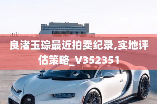 良渚玉琮最近拍卖纪录,实地评估策略_V352351