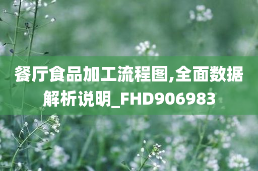 餐厅食品加工流程图,全面数据解析说明_FHD906983