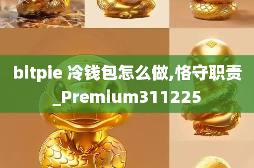 bitpie 冷钱包怎么做,恪守职责_Premium311225