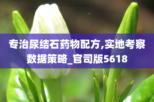 专治尿结石药物配方,实地考察数据策略_官司版5618