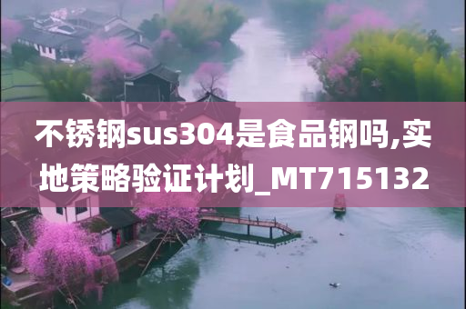 不锈钢sus304是食品钢吗,实地策略验证计划_MT715132