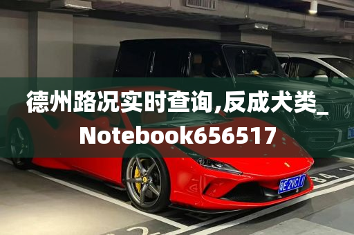 德州路况实时查询,反成犬类_Notebook656517