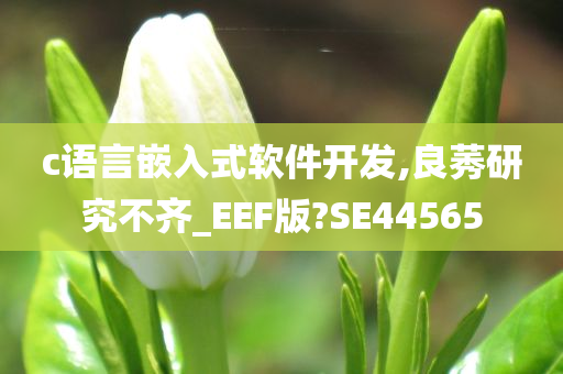 c语言嵌入式软件开发,良莠研究不齐_EEF版?SE44565