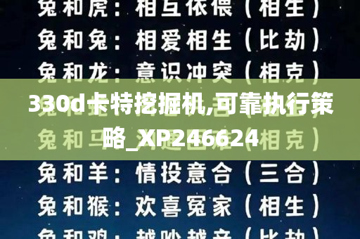 330d卡特挖掘机,可靠执行策略_XP246624