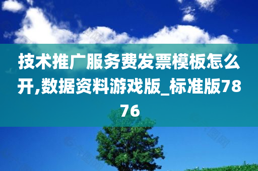 技术推广服务费发票模板怎么开,数据资料游戏版_标准版7876