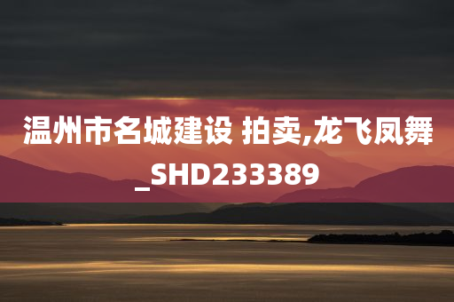 温州市名城建设 拍卖,龙飞凤舞_SHD233389