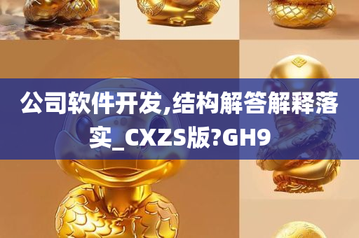 公司软件开发,结构解答解释落实_CXZS版?GH9