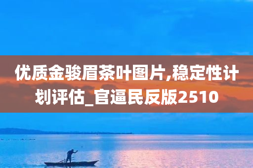 优质金骏眉茶叶图片,稳定性计划评估_官逼民反版2510