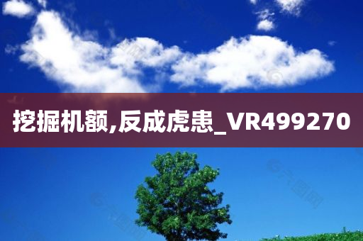 挖掘机额,反成虎患_VR499270