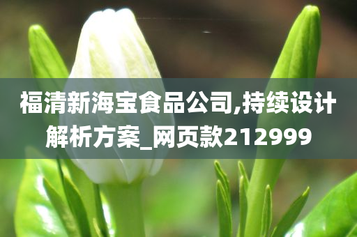 福清新海宝食品公司,持续设计解析方案_网页款212999