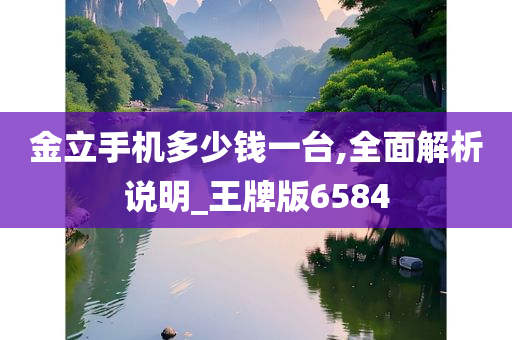 金立手机多少钱一台,全面解析说明_王牌版6584