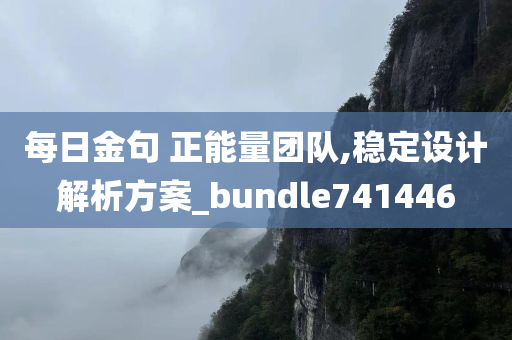 每日金句 正能量团队,稳定设计解析方案_bundle741446