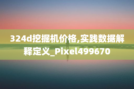 324d挖掘机价格,实践数据解释定义_Pixel499670