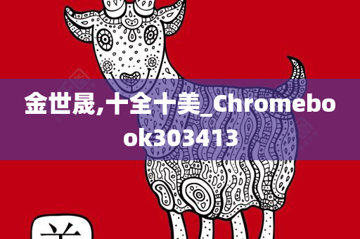 金世晟,十全十美_Chromebook303413