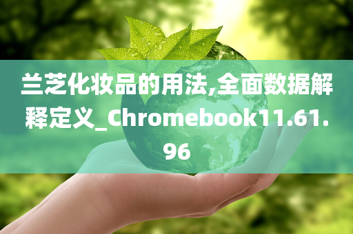 兰芝化妆品的用法,全面数据解释定义_Chromebook11.61.96