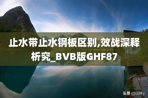 止水带止水钢板区别,效战深释析究_BVB版GHF87