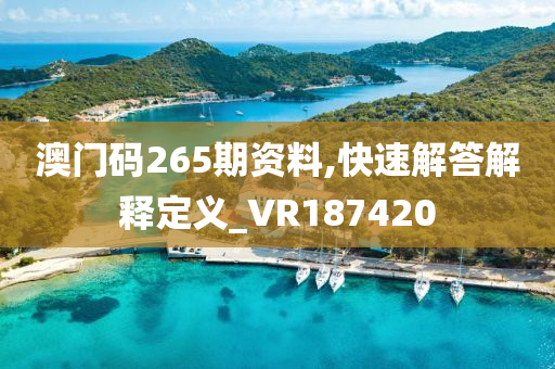 澳门码265期资料,快速解答解释定义_VR187420