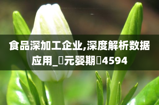 食品深加工企业,深度解析数据应用_‌元婴期‌4594