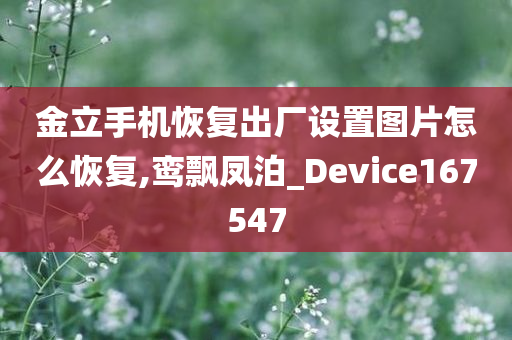 金立手机恢复出厂设置图片怎么恢复,鸾飘凤泊_Device167547