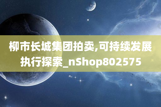 柳市长城集团拍卖,可持续发展执行探索_nShop802575