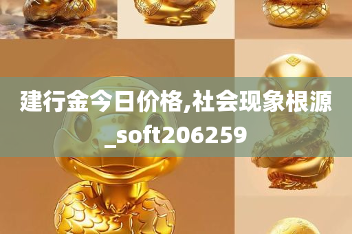 建行金今日价格,社会现象根源_soft206259