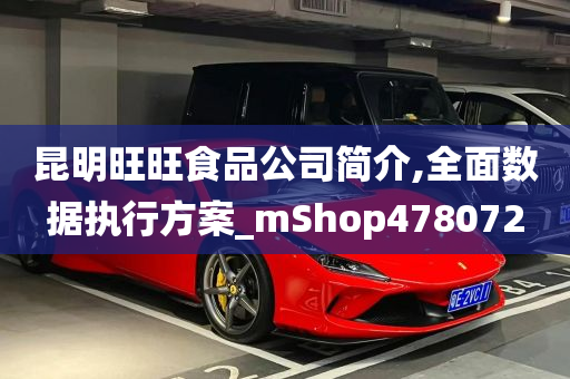 昆明旺旺食品公司简介,全面数据执行方案_mShop478072