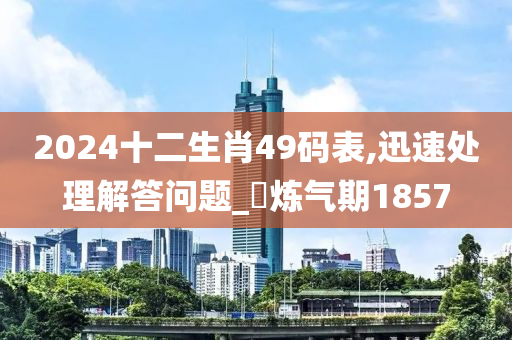 2024十二生肖49码表,迅速处理解答问题_‌炼气期1857