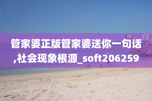 管家婆正版管家婆送你一句话,社会现象根源_soft206259