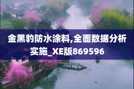 金黑豹防水涂料,全面数据分析实施_XE版869596