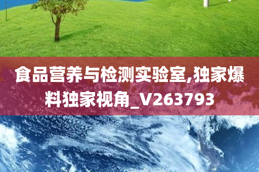 食品营养与检测实验室,独家爆料独家视角_V263793