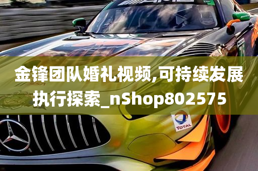 金锋团队婚礼视频,可持续发展执行探索_nShop802575