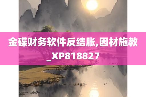 金碟财务软件反结胀,因材施教_XP818827