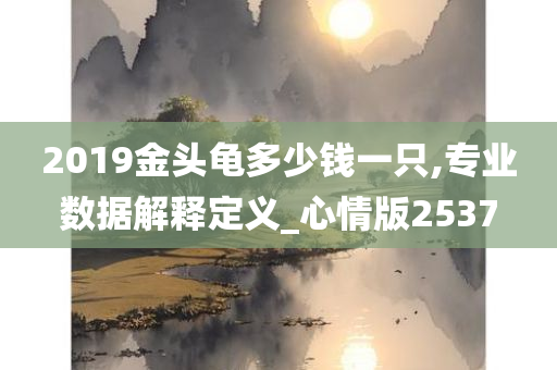 2019金头龟多少钱一只,专业数据解释定义_心情版2537