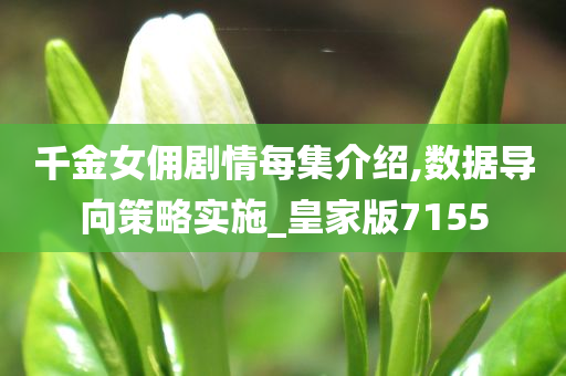 千金女佣剧情每集介绍,数据导向策略实施_皇家版7155