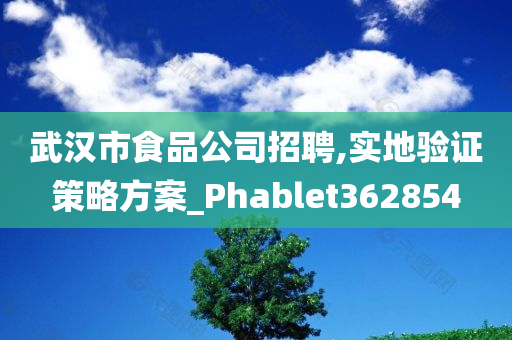 武汉市食品公司招聘,实地验证策略方案_Phablet362854