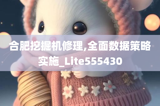 合肥挖掘机修理,全面数据策略实施_Lite555430