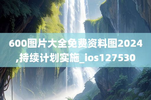 600图片大全免费资料图2024,持续计划实施_ios127530