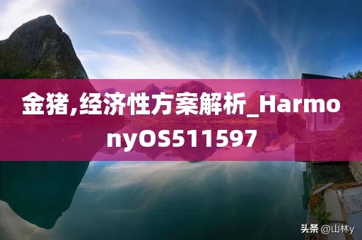 金猪,经济性方案解析_HarmonyOS511597