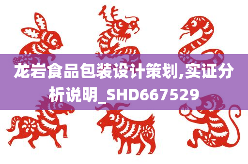 龙岩食品包装设计策划,实证分析说明_SHD667529