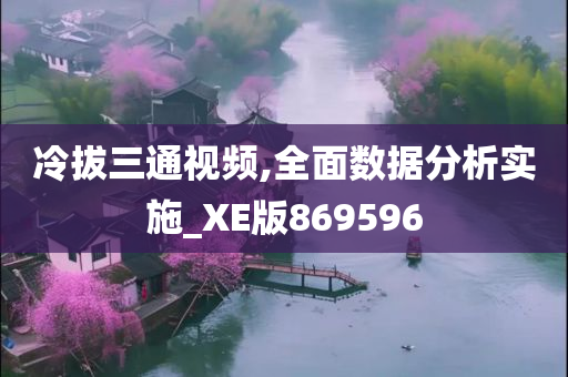 冷拔三通视频,全面数据分析实施_XE版869596